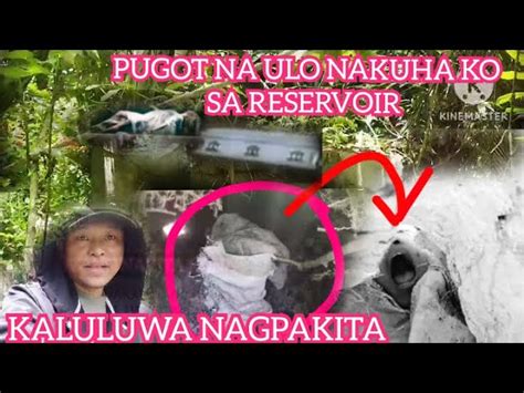pugot ulo viral|ALONE CHALLENGE PUGOT ULO NAGPAPAKITA NANG .